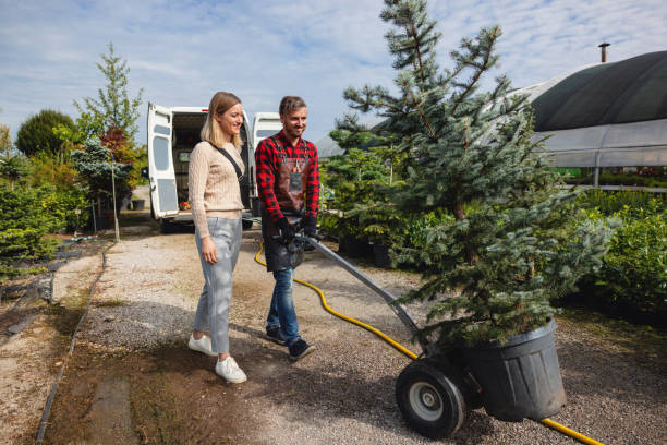 Best Tree Mulching  in Trevose, PA